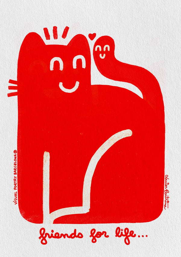 PACK 6 postales 18 x13cm