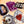 Pack 5 Pegatinas de vinilo