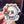 Pack 5 Pegatinas de vinilo